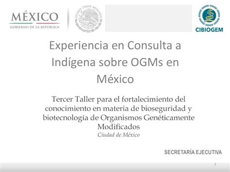 PDF Experiencia en Consulta a Indígena sobre OGMs en México 4 LA