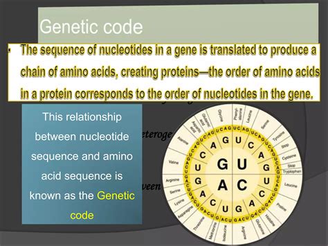 Genetics And Periodontal Diseasepptx