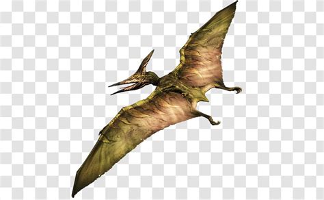 Pteranodon Primal Carnage Extinction Pterodactyl Dinosaur Pterosaurs