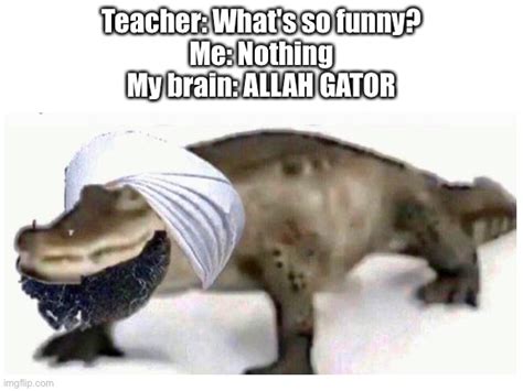 Allah Gator Imgflip