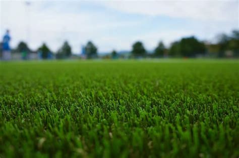 How To Maintain Artificial Grass Practical Tips