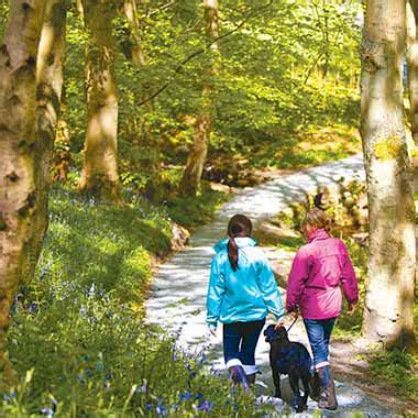 Visit Bolton Abbey | The perfect family day out in the Yorkshire Dales