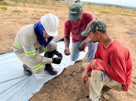 Programa Juntos Pelo Araguaia Promove Oficina Para Coleta De Sementes