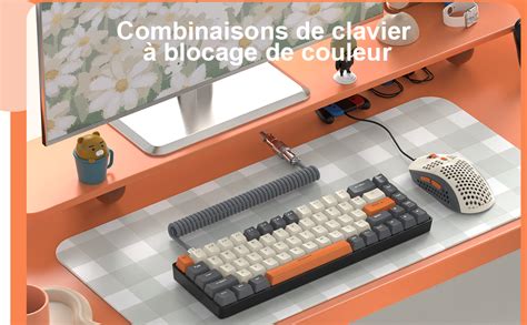 YINDIAO T8 Combos Clavier et Souris de Jeu 60 RVB Câble USB C