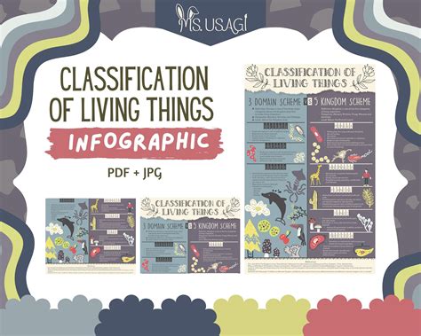 Classification Of Living Things 5 Kingdoms