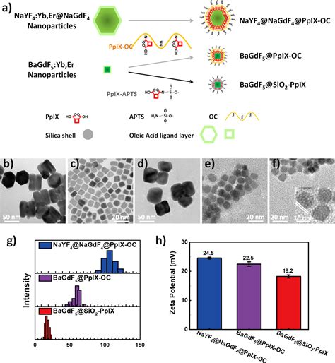 Nanoparticle Based Photodynamic Inhibition Of Candida Albicans Biofilms