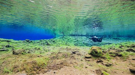 Tauchen In Island Entdecke Die Faszinierende Unterwasserwelt