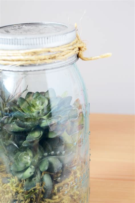 Vintage Mason Jar DIY Terrarium - in Minutes - DIY Candy