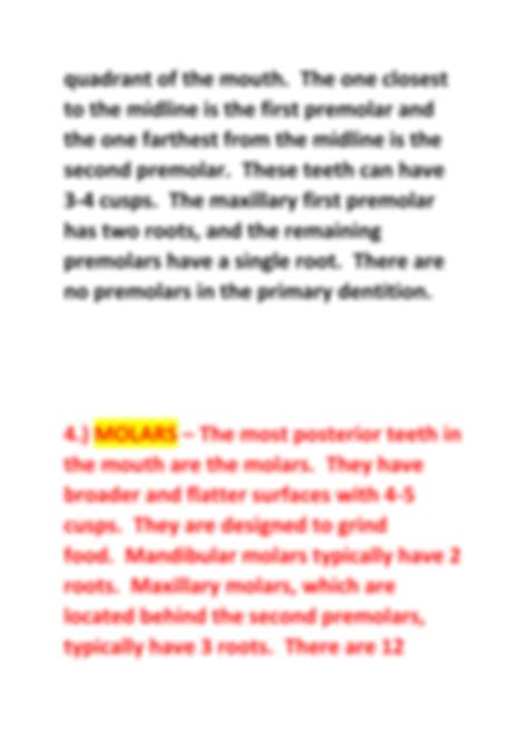 SOLUTION: Types of teeth and their functions - Studypool