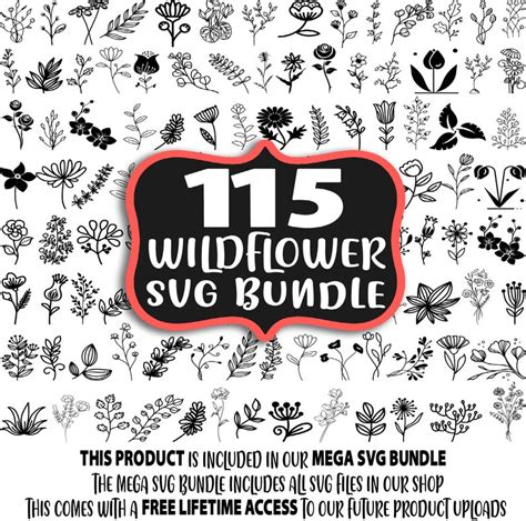 Wildflower Svg Bundle Botanical Svg Plant Svg Flower Svg Wildflowers