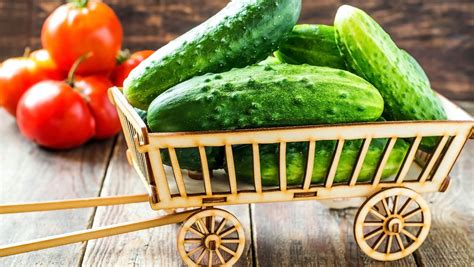 Are Cucumbers Good For Keto Exploring Their Role In A Low Carb Diet