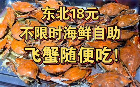 东北18元不限时海鲜自助！飞蟹随便吃！性价比最高的自助！ 转生成为毛毛 转生成为毛毛 哔哩哔哩视频