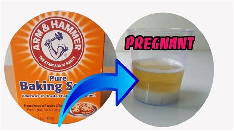 How To Make Homemade Pregnancy Test Baking Soda ️ Baking Soda