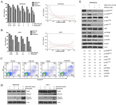 Pdk1 Inhibitor Gsk2334470 Exerts Antitumor Activity In Multiple Myeloma