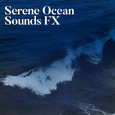 Serene Ocean Sounds Fx Album By Ocean Sounds Fx Spotify