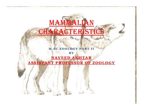 Mammalian Characteristics | PPT