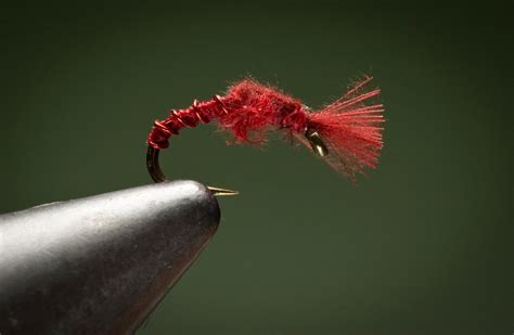 The CDC Blood Midge - Fly Fishing | Gink and Gasoline | How to Fly Fish ...