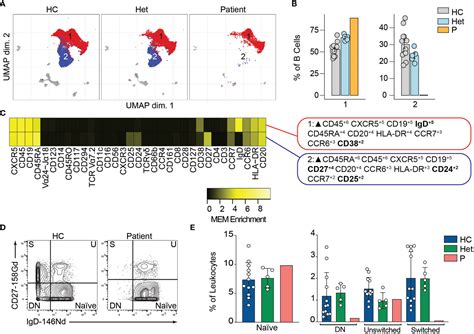 Frontiers Clinical And Immunological Features Of Human Bcl Deficiency