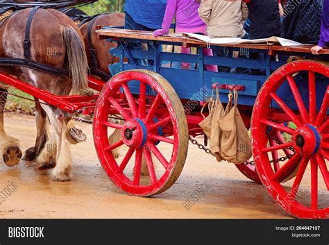 Draft Horses Pulling