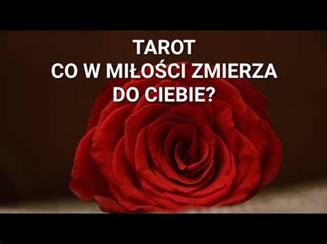 CO W MIŁOŚCI ZMIERZA DO CIEBIE TAROT WSZYSTKIE ZNAKI ZODIAKU YouTube