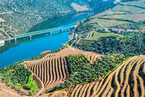 Miradouro de São Salvador do Mundo uma janela para o Douro magnífico