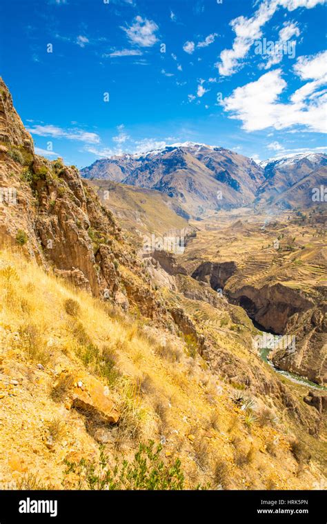 El Ca N Del Colca Per Am Rica Del Sur Los Incas Para Construir