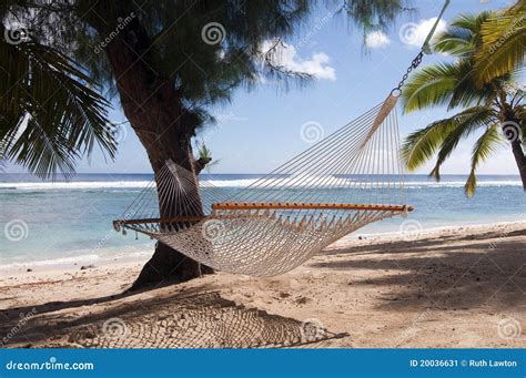 Hammock And Palm Trees On A Tropical Beach Stock Image Image Of