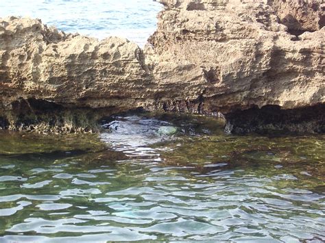 Tartous - Syrian Coast and Mountains - Around Guides