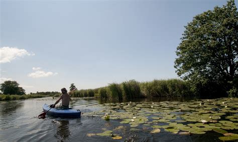 Kortenhoefse Plassen Natuurgebied Natuurmonumenten