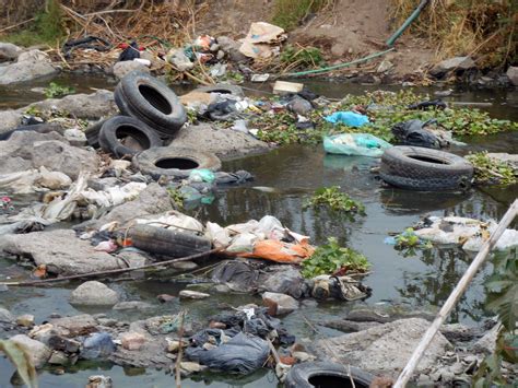 Por Qué Crees Que Los Temas Ambientales Son Los Que Han Obtenido Mayor