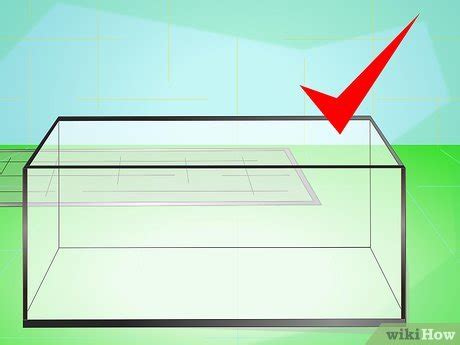 How to Make a Millipede Habitat (with Pictures) - wikiHow