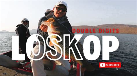 12LB Bass caught at Loskop Dam | South Africa Bass fishing| – Bass Manager | The Best Bass ...