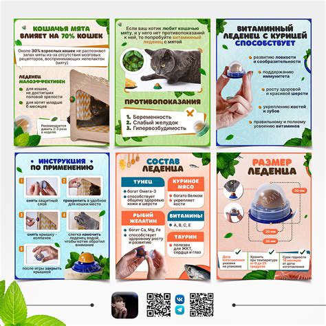 Леденец для кошек, инфографика, карточки товара on Behance