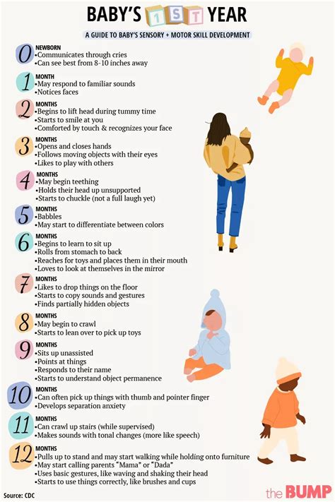 Baby Developmental Milestones and Chart | Baby facts, Baby milestones ...