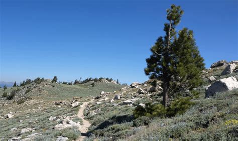 5 Best Hiking Trails in Lake Tahoe-Exploring Nature's Beauty