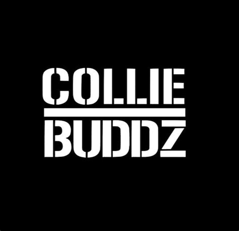 Collie Buddz Vinyl Decal Etsy