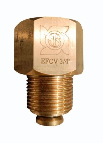 Check Valve Excess Flow Check Valve Manufacturer From Ahmedabad