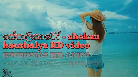 Sepalikawo Shehan Kaushalya Lyrics Video 1080 Hd Video Youtube