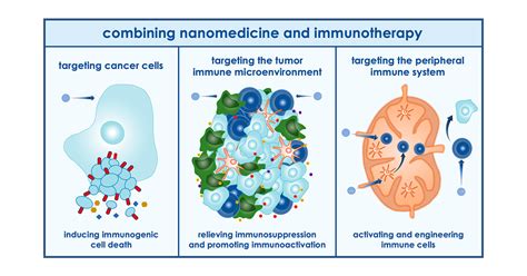 Combining Nanomedicine And Immunotherapy Accounts Of Chemical Research