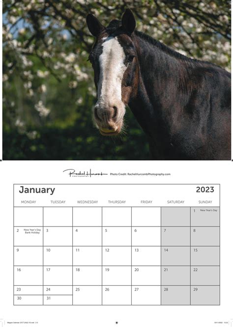 The Magpie Centre Calendar 2023 - Magpie Centre RDA West Norfolk