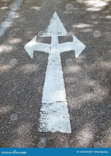 Arrow Signs As Road Markings On A Street Stock Photo Image Of Marking