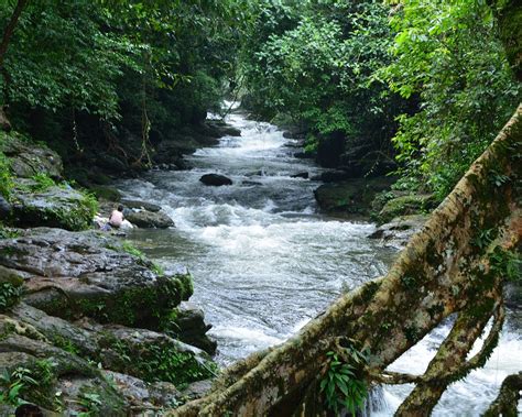 THE 10 BEST Things to Do in Meghalaya - Tripadvisor