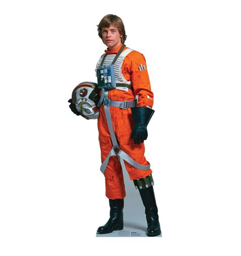 Luke Skywalker - Rebel Pilot (Star Wars)