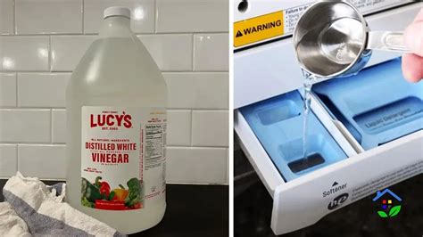 5 Key Benefits of Adding White Vinegar to Your Washing Machine