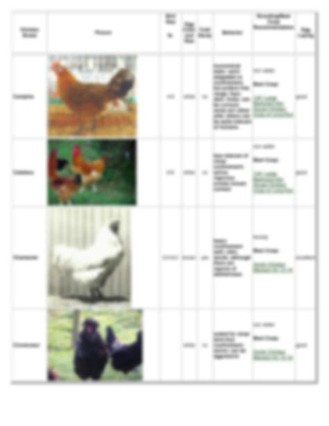 SOLUTION: Chicken breed chart to help choose your chicken - Studypool