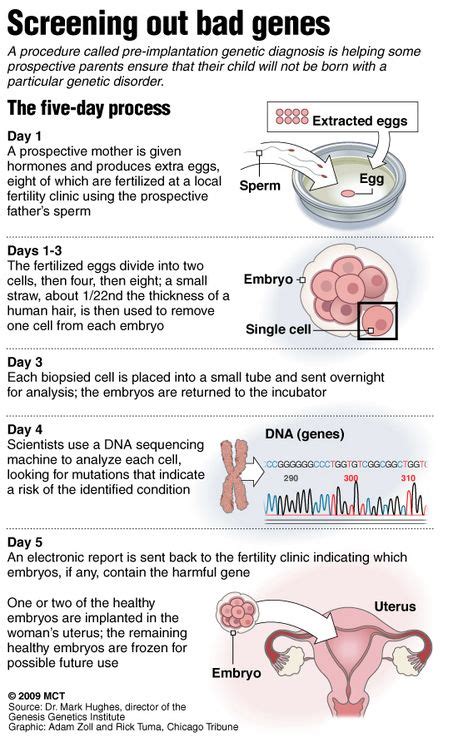 Day 3 embryo transfer implantation calculator - AidynMaizie