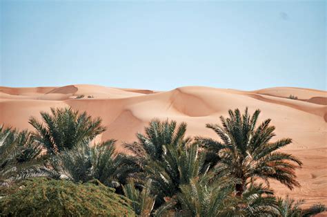 Wahiba Sands, l'expérience du désert à Oman - Jolis Circuits