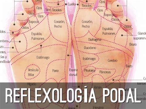 Reflexoterapia Podal Pdf Atelier Yuwa Ciao Jp