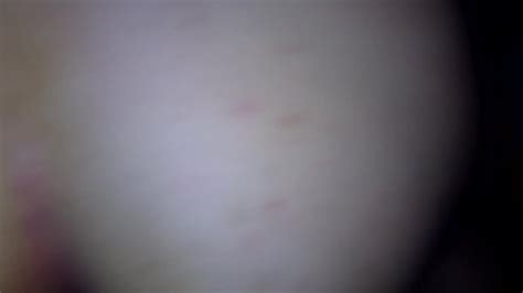 Prepago Videos Xvideos