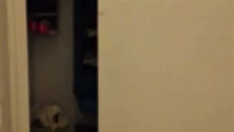 Free GF Strip Porn Videos XHamster